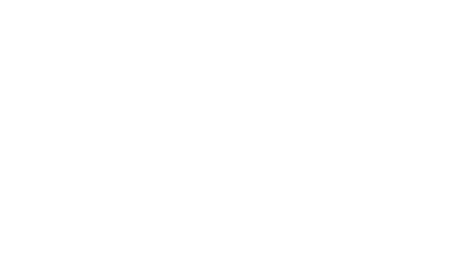 stn-logo-neg